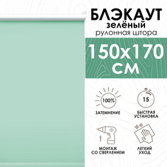 Рулонные шторы Эскар Lux блэкаут 150х170 см, зеленый