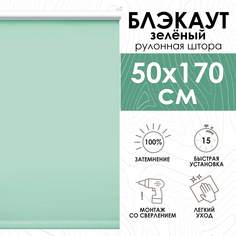 Рулонные шторы Эскар Lux блэкаут 50х170 см, зеленый