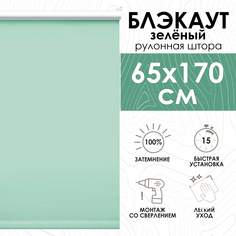 Рулонные шторы Эскар Lux блэкаут 65х170 см, зеленый