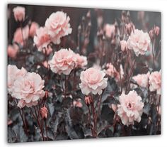 Модульная картина Модуль В дом Прекрасные розы 30x40 см MK10218_K