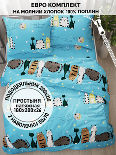 Постельное белье Кот Коттон Коты Эрмитажа евро