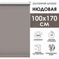 Рулонные шторы блэкаут отражающий 100х170 см, нюдовый Эскар