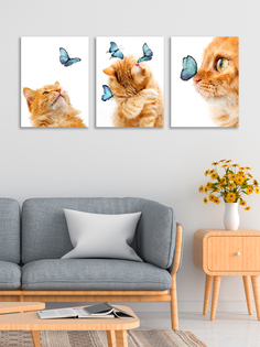Картины на холсте Loftime с подрамником 3 шт котенок и бабочки 30х40 К-475-3040