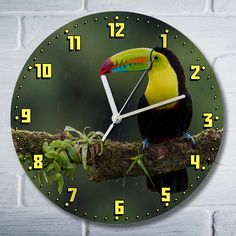 Настенные часы Бруталити Животные Попугай - 9169