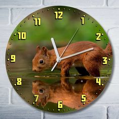 Настенные часы Бруталити белка - 9171