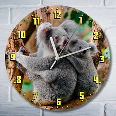 Настенные часы Бруталити коала - 9167