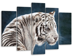Модульная картина Модуль В дом Прекрасный белый тигр 80x140 см MK50023