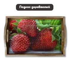 Деревянный поднос Бруталити Минимализм - 1260