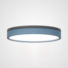 Потолочный светильник ЭкономСвет ImperiumLoft KIER D40 Blue Модель 181034-26