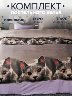 Комплект постельного белья Павлина Серый котик евро наволочки 70x70 Pavlina