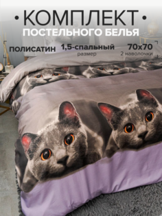 Комплект постельного белья Павлина Серый котик 1,5 спальный наволочки 70x70 Pavlina