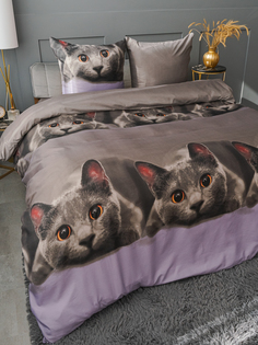 Комплект постельного белья Павлина Серый котик 2 спальный наволочки 70x70 Pavlina