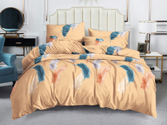 Постельное белье Cleo 2 спальное с перьями полисатин Art Color