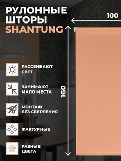 Рулонные шторы FRANC GARDINER Shantung 100х160 см на окно персиковый