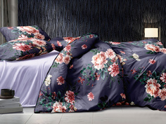 Постельное белье Cleo Art Color наволочки 70х70 2 спальное с пионами полисатин