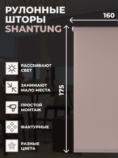 Штора рулонная FRANC GARDINER Shantung 160х175 см на окно пыльная роза