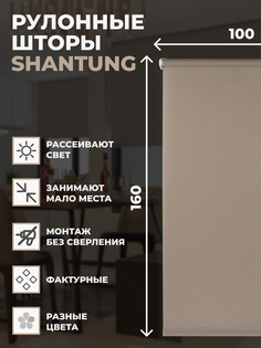 Рулонные шторы FRANC GARDINER Shantung 100х160 см на окно капучино