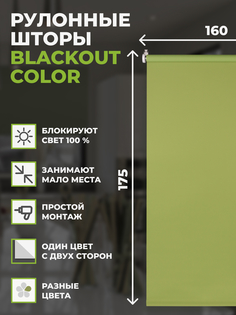 Рулонные шторы FRANC GARDINER блэкаут Color 160х175 см на окно зеленый