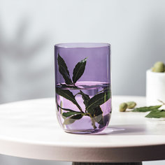 Набор стаканов Villeroy & Boch Lavender Long drink , 2 шт. 385 мл