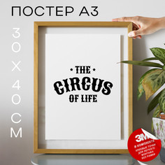 Постер The Circus Of Life А3 DSP171814 30х40, рамка А3 No Brand
