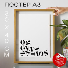 Постер Organization А3 DSP173654 30х40, рамка А3 No Brand