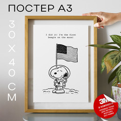 Постер Snoopy - I did it! I А3 DSP182065 30х40, рамка А3