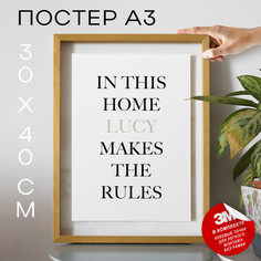Постер интерьерный I Rule А3 DSPpp02935 30х40, рамка А3 No Brand