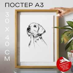 Постер Собаки - Retriever Dog А3 DSPpp02965 30х40, рамка А3 No Brand