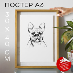 Плакат Собаки - French Bulldog А3 DSPpp02975 30х40, рамка А3 No Brand
