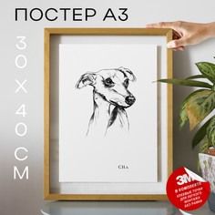 Постер с надписью, Собаки - Whippet Dog А3 DSPpp02995 30х40, рамка А3 No Brand
