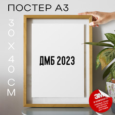 Постер для дома Мемы Ветенары PS1399 30х40, рамка А3 No Brand