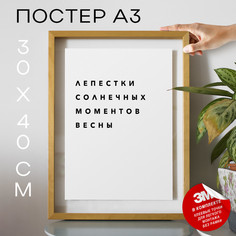 Постер интерьерный PS289 30х40, рамка А3 No Brand