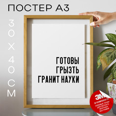 Постер Готовы грызть гранит науки PS576 30х40, рамка А3 No Brand