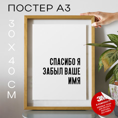 Постер с надписью Мемы Спасибо я забыл ваше имя PS728 30х40, рамка А3 No Brand