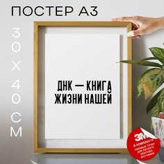Постер Научная в школу PS754 30х40, рамка А3 No Brand