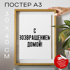 Постер С возвращением домой! PS912 30х40, рамка А3 No Brand