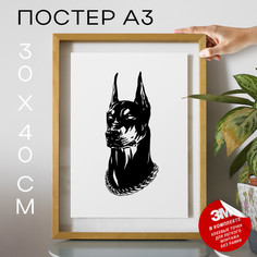 Постер Доберман А3 TP2052 30х40, рамка А3 No Brand