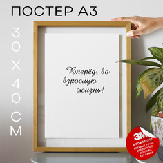 Постер интерьерный, На день рождение - Вперёд во взрослую TP2069 30х40, рамка А3 No Brand