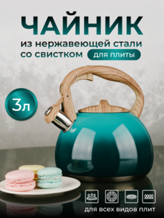 Чайник для плиты ASTIX из нержавеющей стали 3 литра