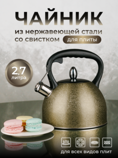 Чайник для плиты ASTIX из нержавеющей стали 2,7л.