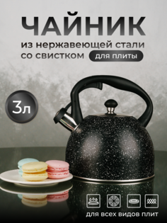 Чайник для плиты ASTIX