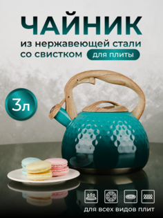 Чайник для плиты со свистком ASTIX 3 литра