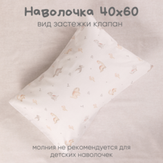 Наволочка Ночь Нежна Динозавры Бязь 120гр. 40х60 -1шт
