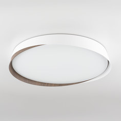 Светильник с пультом Citilux BONNY CL754450G LED RGB