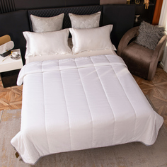 Одеяло VIVA - HOME TEXTILE всесезонное SM002 черно-белый кант 180х215 см