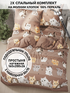 Постельное белье Кот Коттон Томми 2-спальный