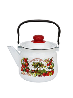 Чайник для плиты Эмаль Organic эмалированный, 2,5 л