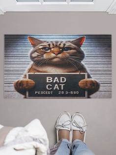Коврик придверный JoyArty Плохой кот, door_429894
