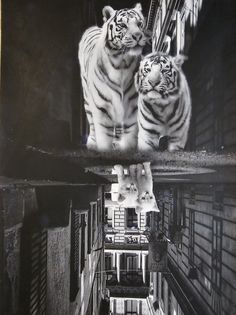 Постер FUZHOU СССР Тигры и Котята А3 30х40см Внутренний мир плакат