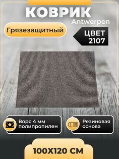 Коврик придверный грязезащитный IDEAL Antw 2107 серый 100х120 см
